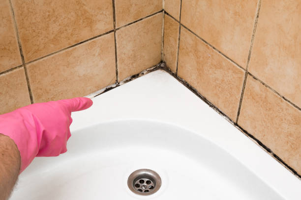 Best Mold Testing  in Valenti, NE